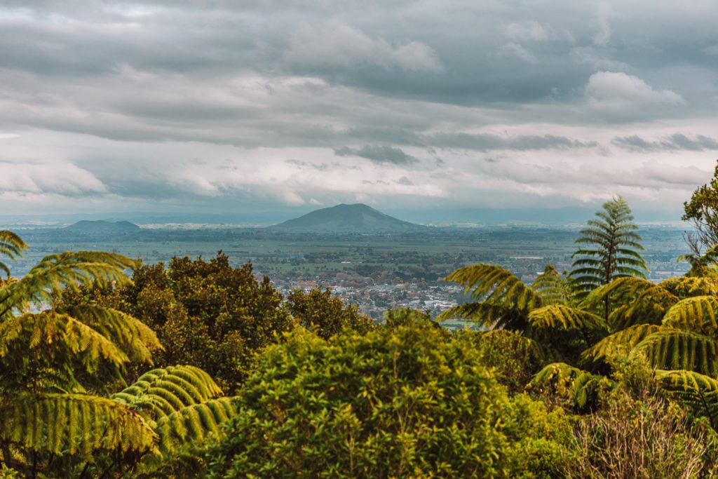 Cambridge, Waikato, New Zealand