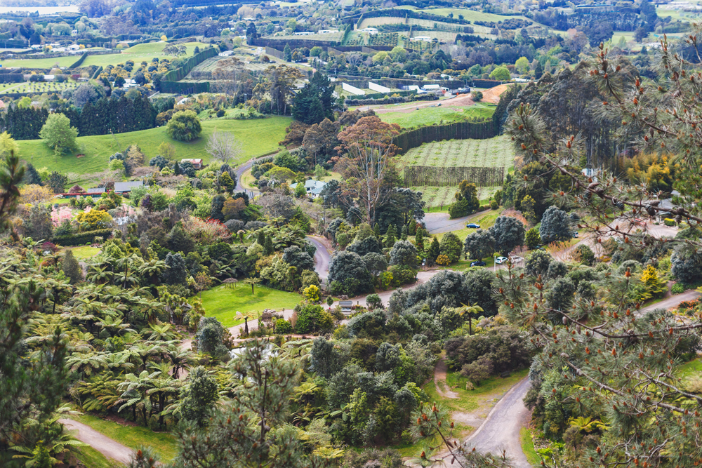 Te Puna Quarry Park is 10 minutes drive from Tauranga