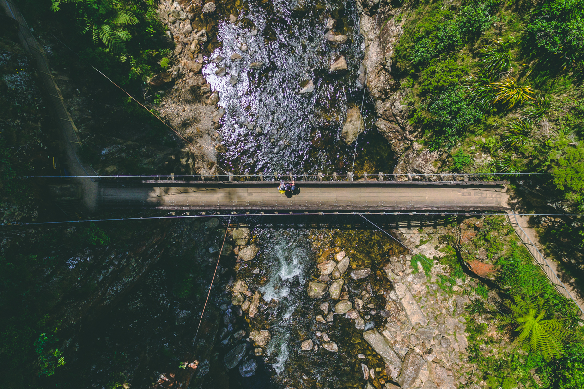 Karangahake Gorge Walks