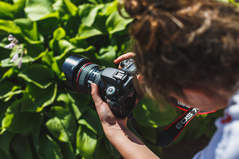 Фотоаппарат для начинающего фотографа. Фотоаппараты для начинающих фотографов. Профессиональный фотоаппарат для начинающего. Профессиональный фотоаппарат для начинающего фотографа.