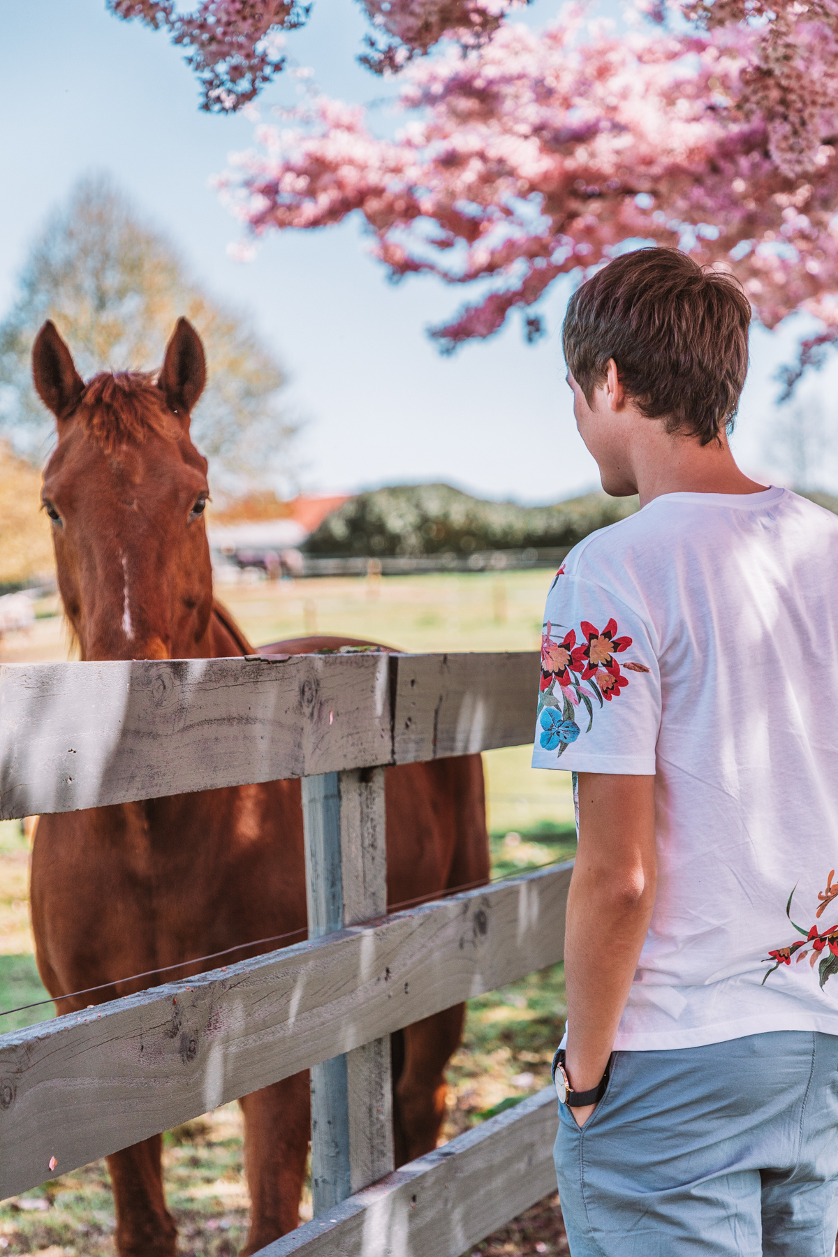 thestylejungle-New-Zealand-Waikato-Cherry-Tree-Festival-Cambridge-2018-travel-blog