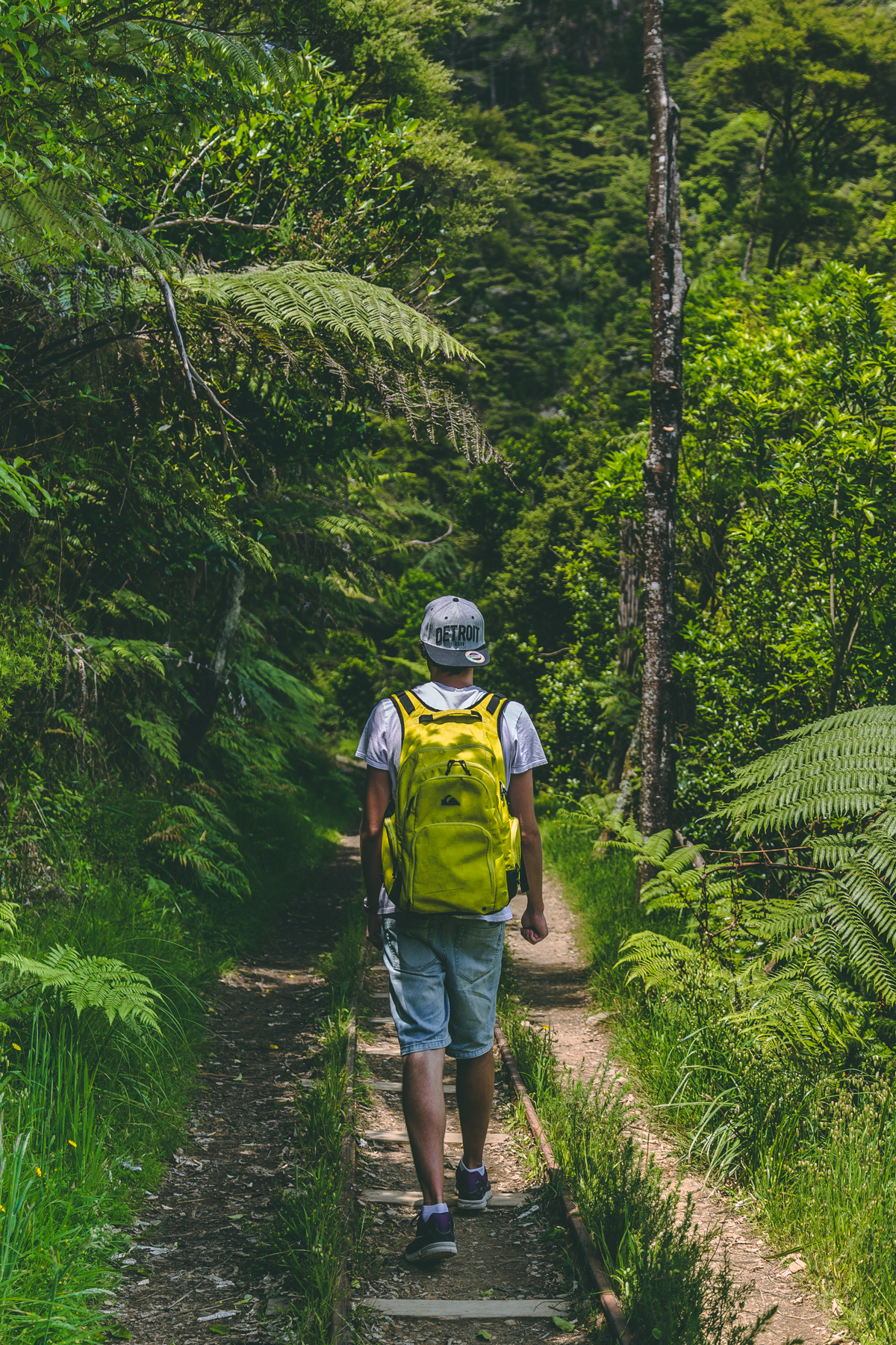 thestylejungle_New_Zealand_Karangahake_Gorge_nzmustdo_travelblog