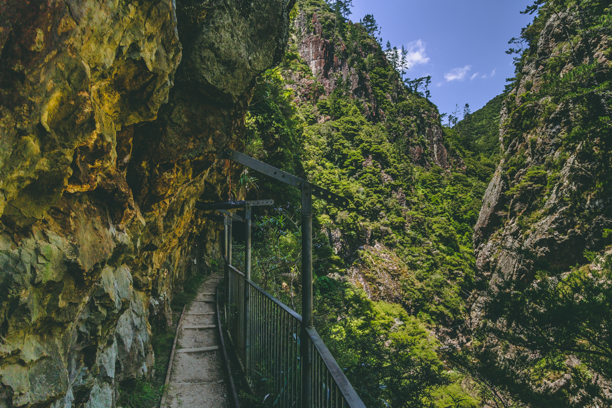 thestylejungle_New_Zealand_Karangahake_Gorge_nzmustdo_travelblog