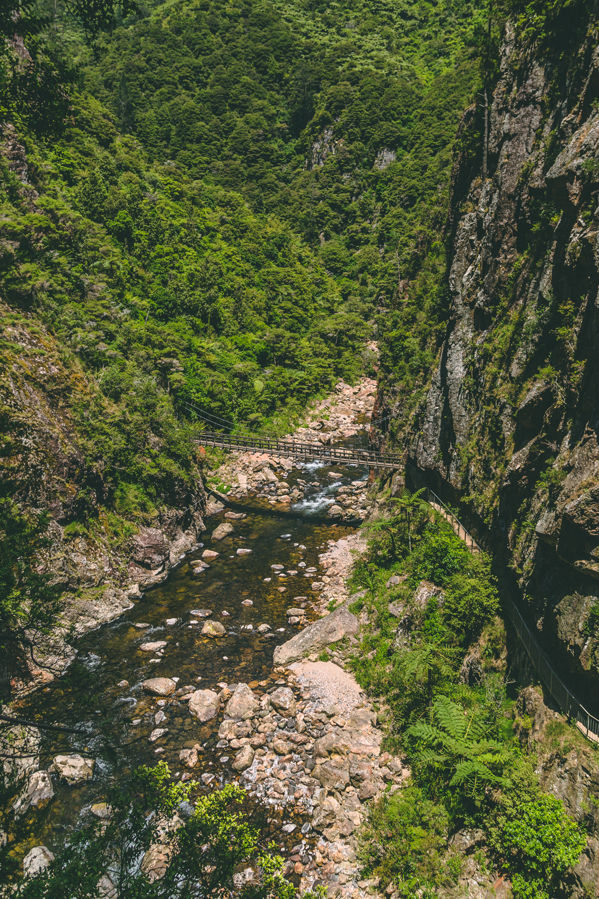 thestylejungle_New_Zealand_Karangahake_Gorge_nzmustdo_travelblog