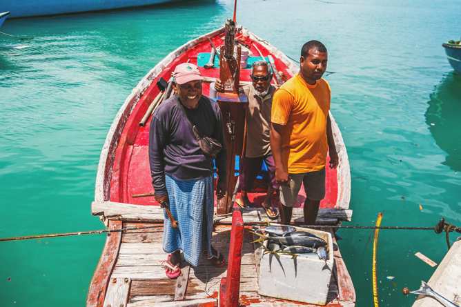 Not the sun and beaches only: what else to do in Maldives ...